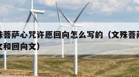 文殊菩萨心咒许愿回向怎么写的（文殊菩萨祈愿文和回向文）