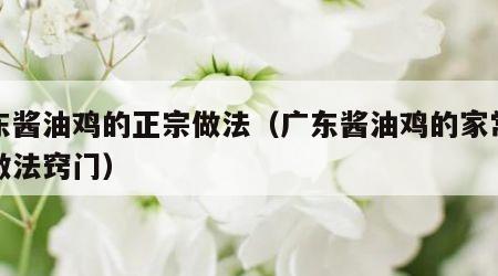 广东酱油鸡的正宗做法（广东酱油鸡的家常简单做法窍门）