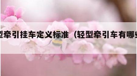 轻型牵引挂车定义标准（轻型牵引车有哪些车型）