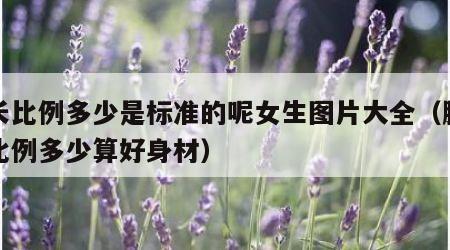 腿长比例多少是标准的呢女生图片大全（腿长的比例多少算好身材）
