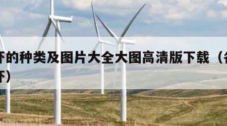 海虾的种类及图片大全大图高清版下载（各种海虾）