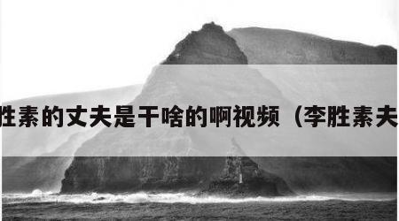 李胜素的丈夫是干啥的啊视频（李胜素夫妻）
