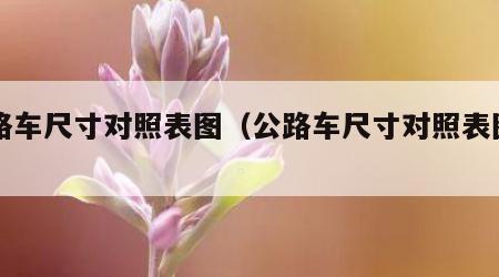 公路车尺寸对照表图（公路车尺寸对照表图片）