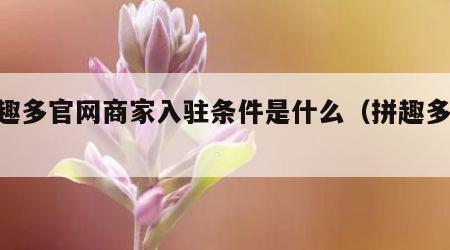拼趣多官网商家入驻条件是什么（拼趣多app）