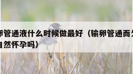 输卵管通液什么时候做最好（输卵管通而欠畅能自然怀孕吗）