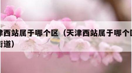 天津西站属于哪个区（天津西站属于哪个区哪个街道）