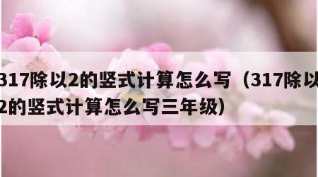 317除以2的竖式计算怎么写（317除以2的竖式计算怎么写三年级）