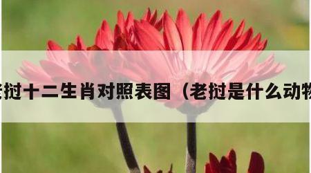 老挝十二生肖对照表图（老挝是什么动物）