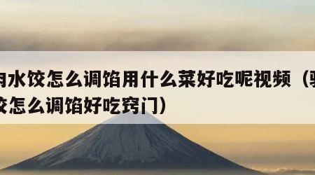 驴肉水饺怎么调馅用什么菜好吃呢视频（驴肉水饺怎么调馅好吃窍门）