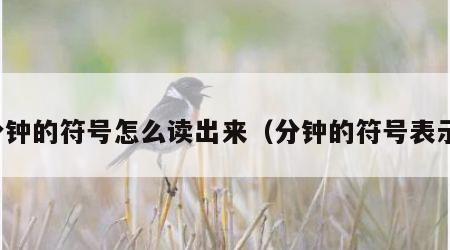 分钟的符号怎么读出来(分钟的符号表示) 分钟的符号怎么读出来(分钟的符号表示)