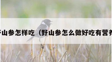 野山参怎样吃(野山参怎么做好吃有营养)