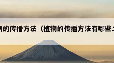 植物的传播方法(植物的传播方法有哪些二年级)