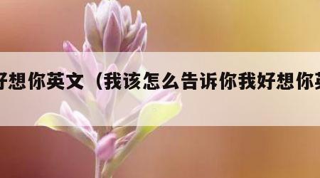 我好想你英文（我该怎么告诉你我好想你英文）