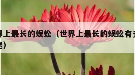世界上最长的蜈蚣(世界上最长的蜈蚣有多少条腿)
