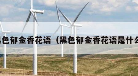 黑色郁金香花语(黑色郁金香花语是什么) 黑色郁金香花语(黑色郁金香花语是什么)