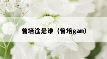 曾培淦是谁(曾培gan) 曾培淦是谁(曾培gan)