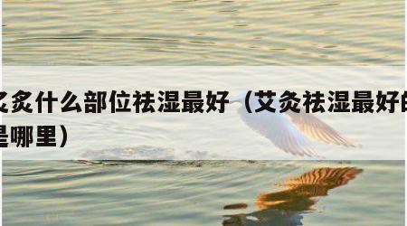 艾炙炙什么部位祛湿最好(艾灸祛湿最好的部位是哪里) 艾炙炙什么部位祛湿最好(艾灸祛湿最好的部位是哪里)