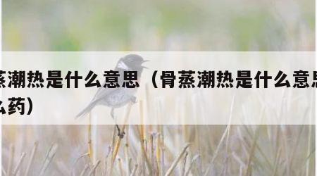 骨蒸潮热是什么意思(骨蒸潮热是什么意思喝什么药) 骨蒸潮热是什么意思(骨蒸潮热是什么意思喝什么药)