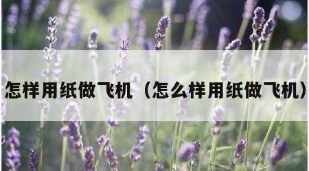 怎样用纸做飞机(怎么样用纸做飞机) 怎样用纸做飞机(怎么样用纸做飞机)