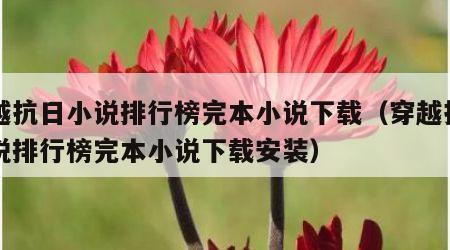 穿越抗日小说排行榜完本小说下载(穿越抗日小说排行榜完本小说下载安装) 穿越抗日小说排行榜完本小说下载(穿越抗日小说排行榜完本小说下载安装)
