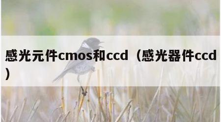 感光元件cmos和ccd(感光器件ccd) 感光元件cmos和ccd(感光器件ccd)