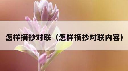 怎样摘抄对联(怎样摘抄对联内容) 怎样摘抄对联(怎样摘抄对联内容)