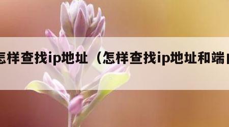 怎样查找ip地址(怎样查找ip地址和端口) 怎样查找ip地址(怎样查找ip地址和端口)
