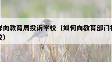 怎样向教育局投诉学校(如何向教育部门投诉学校) 怎样向教育局投诉学校(如何向教育部门投诉学校)