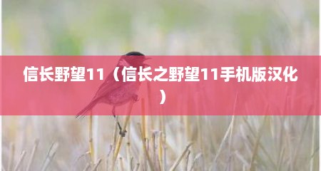 信长野望11（信长之野望11手机版汉化）