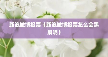 新浪微博投票（新浪微博投票怎么会黑屏呢）