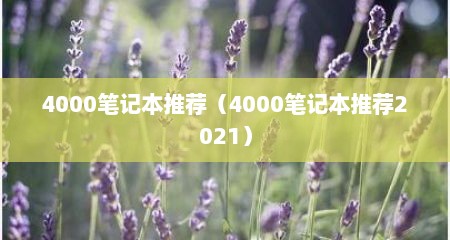 4000笔记本推荐（4000笔记本推荐2021）