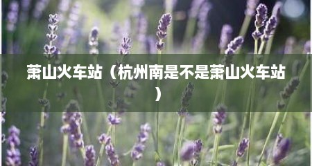 萧山火车站（杭州南是不是萧山火车站）