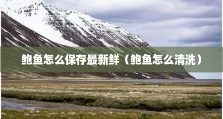 鲍鱼怎么保存最新鲜（鲍鱼怎么清洗）