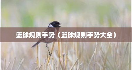 篮球规则手势（篮球规则手势大全）