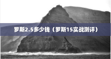 罗斯2.5多少钱（罗斯15实战测评）