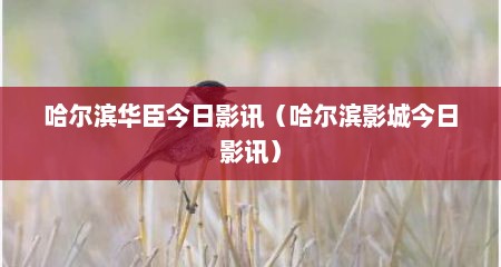 哈尔滨华臣今日影讯（哈尔滨影城今日影讯）