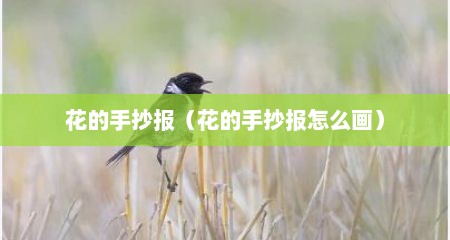 花的手抄报（花的手抄报怎么画）
