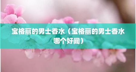 宝格丽的男士香水（宝格丽的男士香水哪个好闻）