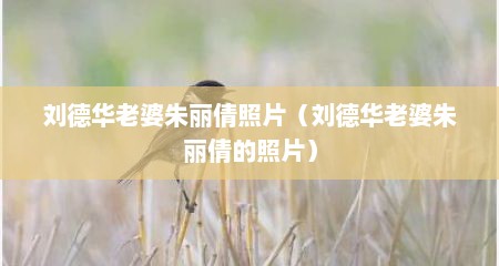 刘德华老婆朱丽倩照片（刘德华老婆朱丽倩的照片）