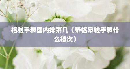 格雅手表国内排第几（泰格豪雅手表什么档次）