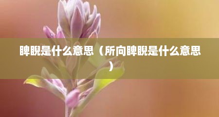 睥睨是什么意思（所向睥睨是什么意思）