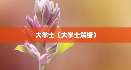 大学士（大学士解缙）