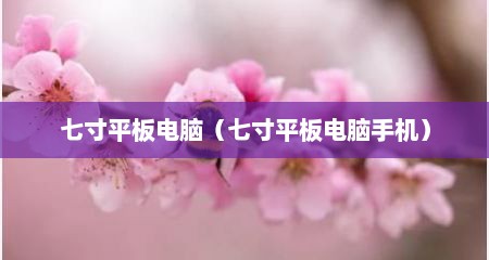 七寸平板电脑（七寸平板电脑手机）