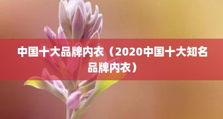 中国十大品牌内衣（2020中国十大知名品牌内衣）