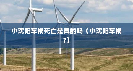 小沈阳车祸死亡是真的吗（小沈阳车祸?）