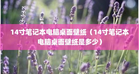 14寸笔记本电脑桌面壁纸（14寸笔记本电脑桌面壁纸是多少）