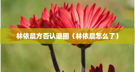 林依晨方否认退圈（林依晨怎么了）