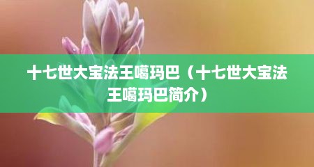 十七世大宝法王噶玛巴（十七世大宝法王噶玛巴简介）