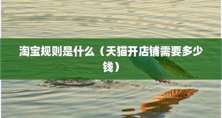 淘宝规则是什么（天猫开店铺需要多少钱）