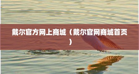 戴尔官方网上商城（戴尔官网商城首页）